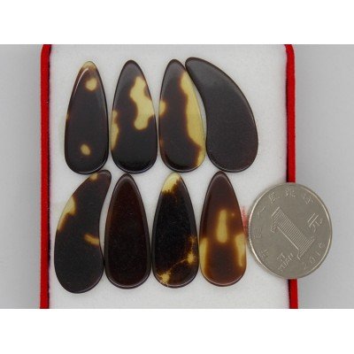 424-八片盒装平面指甲